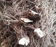 KAVA PROS VULA KASA 500G - Image 3