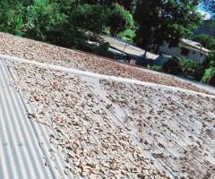 Quality kava supplies - Image 3
