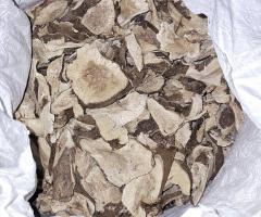 Quality kava supplies - Image 9