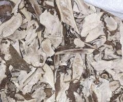 Quality kava supplies - Image 10