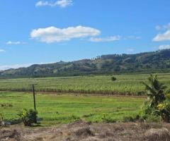 FOR SALE – PRIME FARM LAND