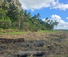 FOR SALE – PRIME FARM LAND - Image 2