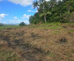 FOR SALE – PRIME FARM LAND - Image 5