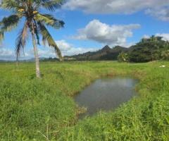 FOR SALE – PRIME FARM LAND - Image 6