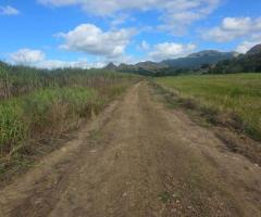 FOR SALE – PRIME FARM LAND - Image 9