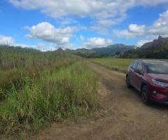 FOR SALE – PRIME FARM LAND - Image 10