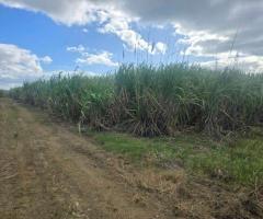 FOR SALE – PRIME FARM LAND - Image 14