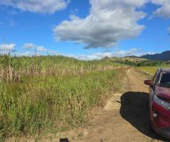 FOR SALE – PRIME FARM LAND - Image 15