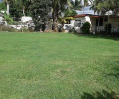Freehold commercial land for sale/lease-Namaka Nadi - Image 2