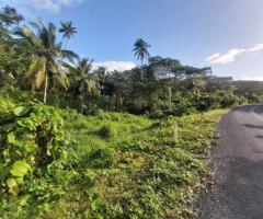 Agriculture Land for Sale