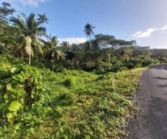 Agriculture Land for Sale - Image 2
